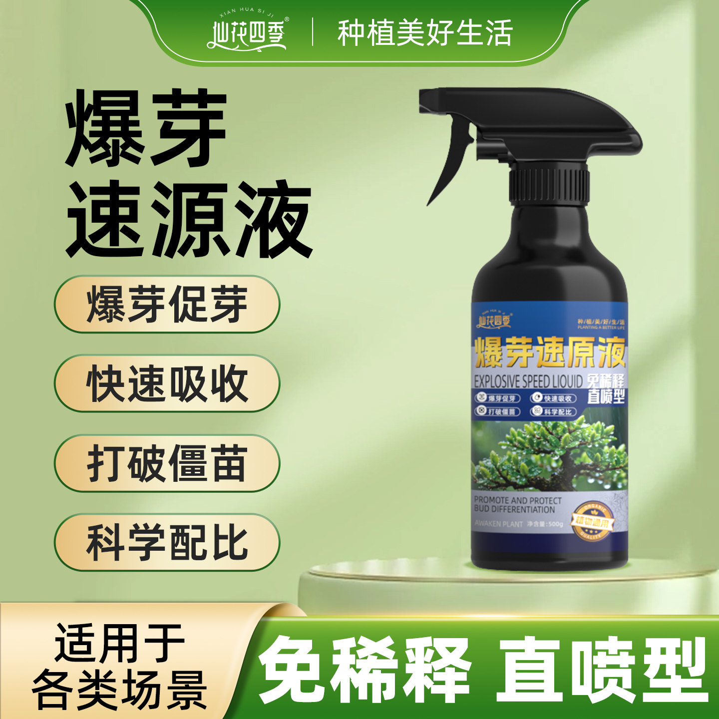 仙花四季爆芽素原液免稀释通用营养液爆芽速复活液绿植园艺水溶肥 - 仙花四季旗舰店出品