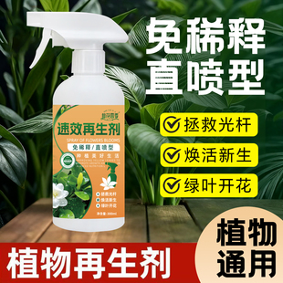 仙花四季通用速效浓缩植物形再生剂营养液发财树复活液绿植水溶肥