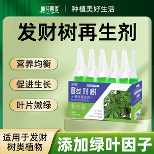 发财树再生剂植物浓缩营养液绿植花卉盆栽家庭园艺免稀释水溶肥料