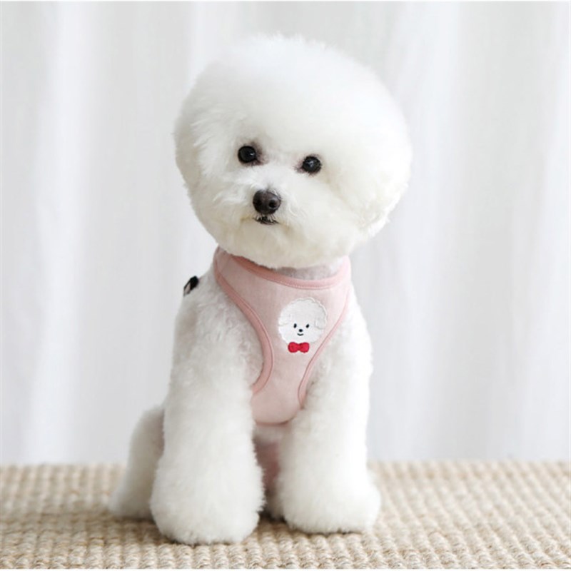 茶杯犬雪纳瑞狗狗博美幼犬泰迪贵宾犬 狗狗小狗的生活用品牵引绳