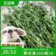 兔兔窝 精选烘干苜蓿...