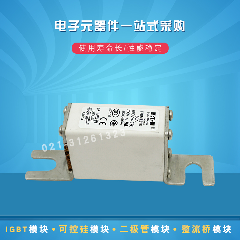 快速熔断器保险丝170M2047 2048 2049 2050 2051 2052 2053 2054