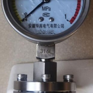 1.5膜片316L M20 隔膜耐震压力表YNML 100螺纹安装