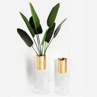 花瓶摆件客厅插花北欧简约创意电视柜旁落地透明干花装 饰幻彩