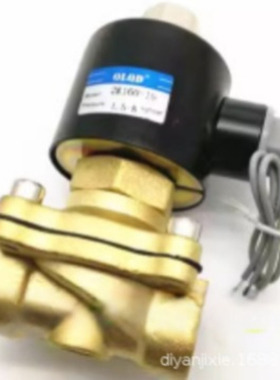 OLQD电磁阀2W025-08K DC24V 2W040-10K AC220V 2W160-15K DC24V