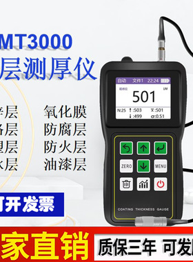 恒硕MT300F分体式涂层厚度仪 分体式涂层厚度仪分体式涂层厚度仪