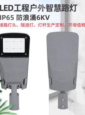 LED户外路灯道路照明无工具打开路灯头防雨防雷80W100W150W240W