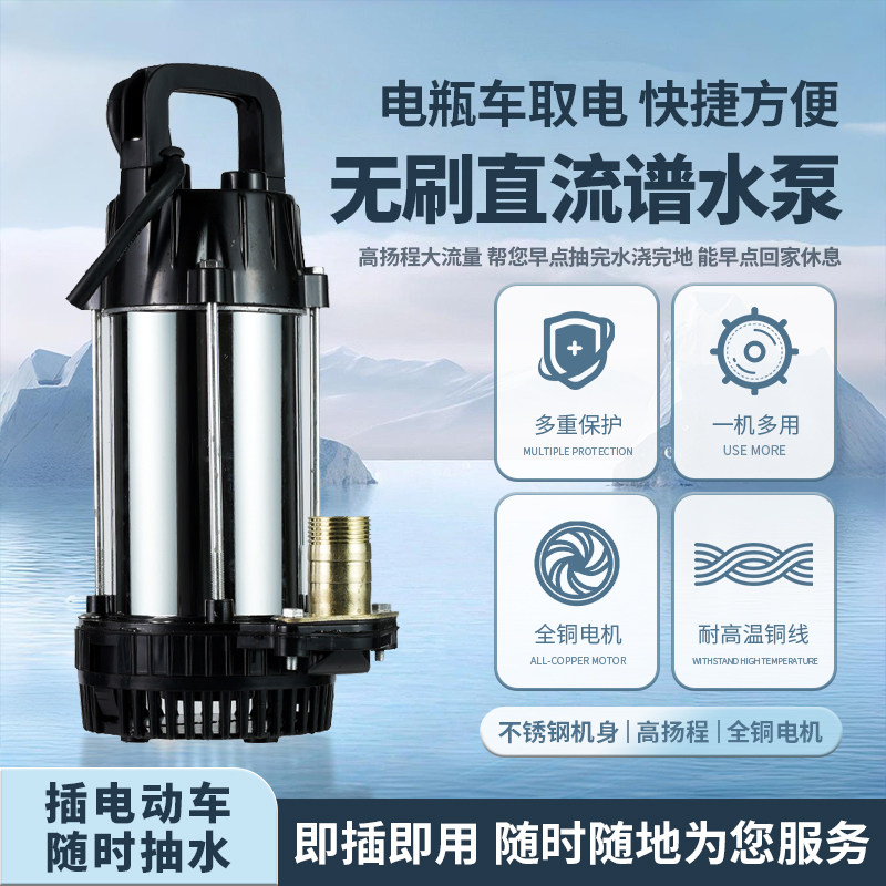大流量无刷直流潜水泵48v60v72灌溉小型电瓶电动车专用抽水泵浇菜