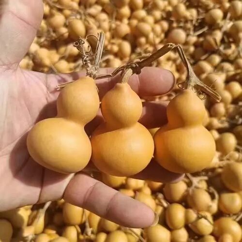 2025年天然葫芦手把件包浆八宝把玩摆件挂件文玩葫芦精品小手捻