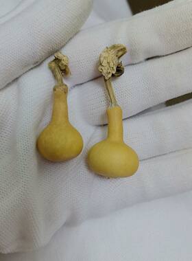 2.5-3.5厘米纯天然葫芦独霸葫芦草里金独霸手串手工自然生长挂件