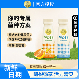 12瓶学生儿童早餐风味发酵乳生牛乳酸牛奶 北海牧场7种益生菌220g