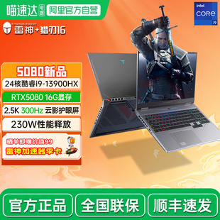 雷神猎刃16 24核英特尔酷睿i9标压RTX5080独显电竞游戏大学生设计编程商务办公16英寸300HZ高刷笔记本电脑196