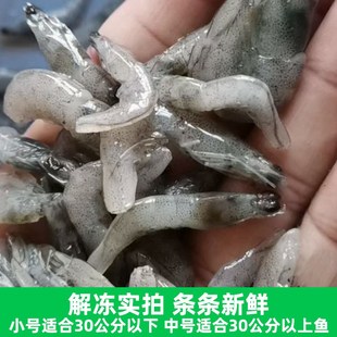 冷冻小河虾淡水白虾龙鱼专用饲料虾段麦穗鱼龟粮泥鳅林蛙冷冻鱼食