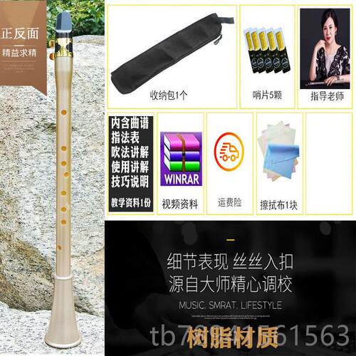 高档单簧管乐简易萨克斯树风脂专业级楚乐黑管萨初学入门降E调器