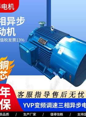 YVP系列变频调三相异步电动机0.75w-315w电动机YVP全铜线圈电机