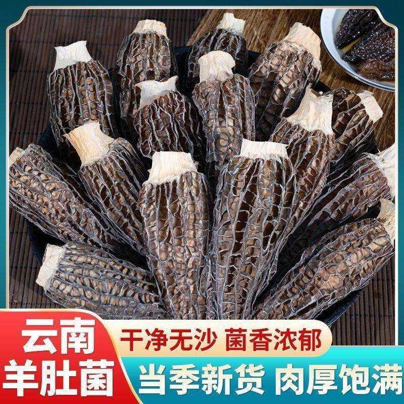 羊肚菌货云南无新熏硫用牛肚菌干货特产家菌菇新鲜羊肚菇干煲汤
