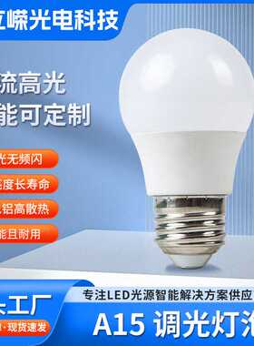 智能led灯泡低压球泡灯12V/24V照明节能灯家用超亮暖光夜市摆摊灯