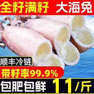 籽乌海兔子满籽全籽小鱿鱼墨鱼仔笔管鱿鲜活生鲜笔管鱼海鲜水产