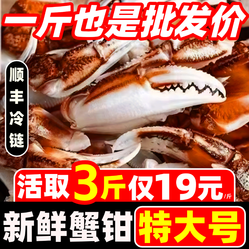 沙蟹钳新鲜蟹爪蟹腿梭子蟹钳螃蟹腿脚商用批发海鲜原料捞汁小海鲜