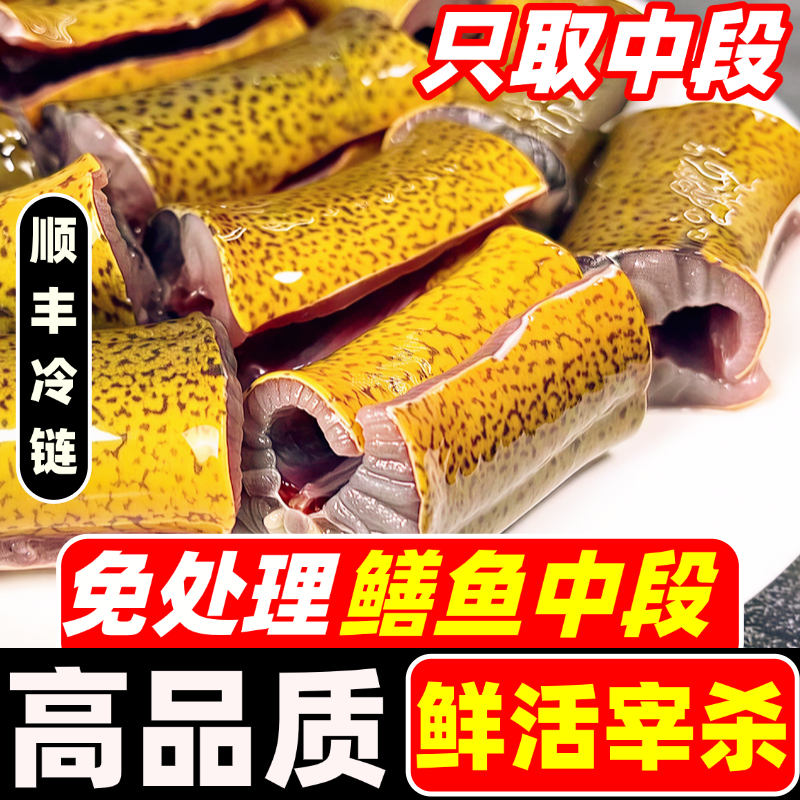 黄鳝鱼鲜活新鲜现杀特大土黄鳝去头去内脏商用炖骨煲汤鳝鱼中段