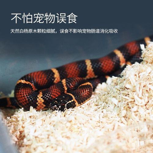 爬宠蛇专用除臭垫材白杨木屑家养宠物米蛇饲养箱垫材颗粒爬虫垫料