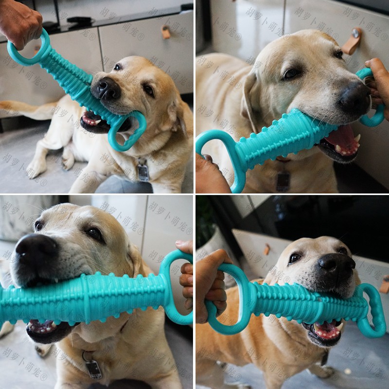 特大号发声耐咬互动狗狗玩具宠物磨牙棒洁齿中大型犬金毛拆家咬胶