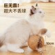 猫玩具自嗨解闷剑麻猫抓球磨爪逗猫棒猫咪磨牙棒发声玩具猫咪用品