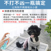 防狗乱尿神器狗狗诱导剂狗大小便防止狗乱拉尿定点排便引导上厕所