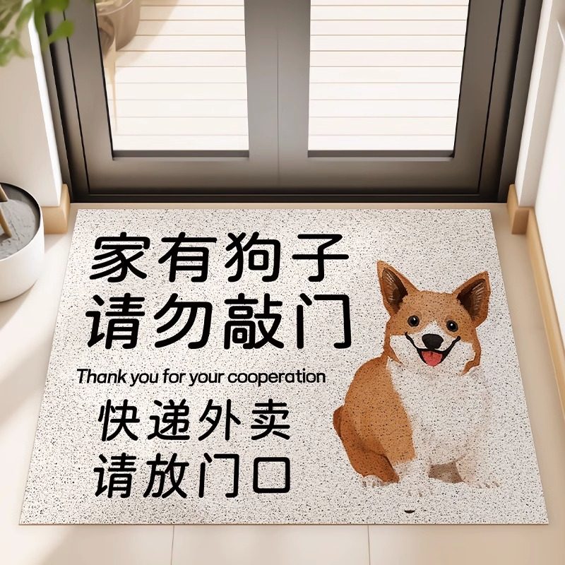 快递外卖请放门口地垫丝圈地毯防滑耐脏易清洁入户门垫毯子家用,居家布艺,入户地垫,淘宝优惠券,粉丝福利购,淘宝优惠卷