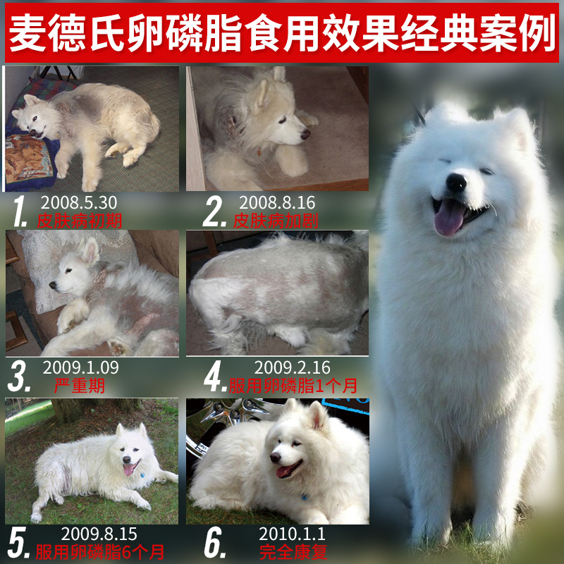 麦德氏卵磷脂680g超浓缩狗狗软磷脂泰迪金毛美毛粉宠物海藻粉狗用