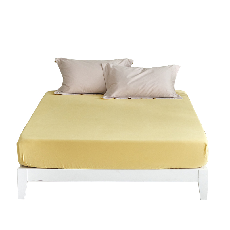 四季款磨毛加厚秋冬全棉纯棉单件席梦思床笠床罩床垫套床单床垫套