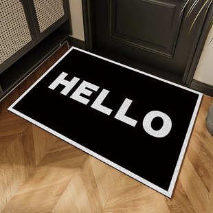 入户门垫家用进门玄关丝圈防滑脚垫大门口除尘地毯入门高级感垫子
