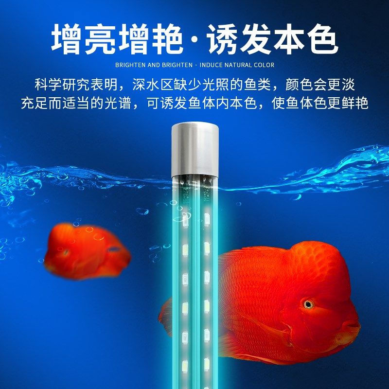led鱼缸灯照明水族箱潜水灯水草灯防水龙鱼灯管增艳蓝白光鱼缸灯,宠物/宠物食品及用品,照明器材,淘宝优惠券,粉丝福利购,淘宝优惠卷