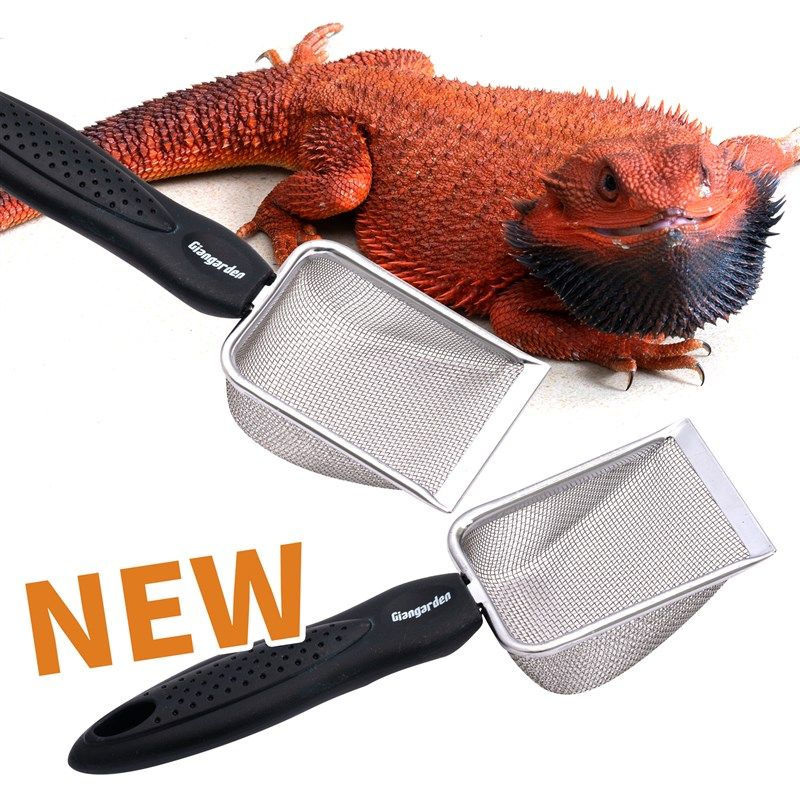 爬不锈钢迷你沙铲守宫刺猬鬃狮仓鼠金丝熊浴沙尿砂铲鸟禽架站鹦鹉,宠物/宠物食品及用品,爬宠清洁及日用品,淘宝优惠券,粉丝福利购,淘宝优惠卷