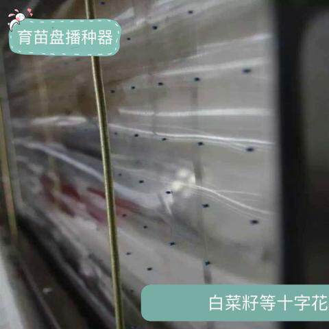 芹菜籽育苗盘播种器穴盘点子机105/128/200/288孔数等