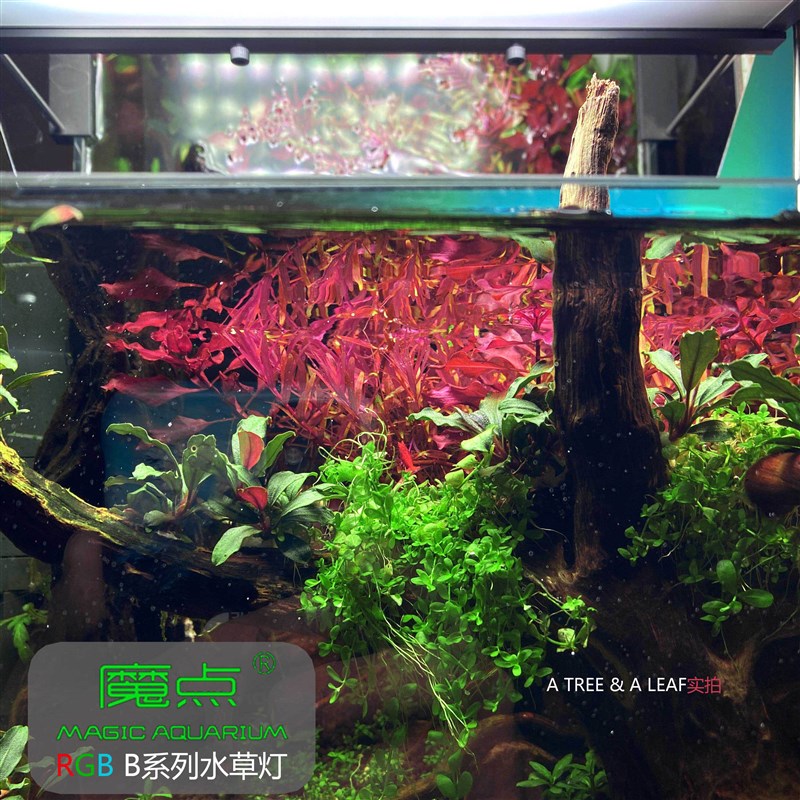 魔点水草灯 B系列全光谱RGB灯盘WRGB四路调节手机APP控制定时颜色