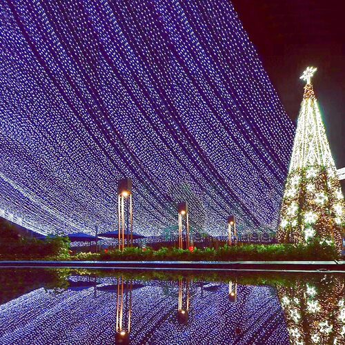 钱康50米500灯1000灯led小彩灯闪灯串灯满天星户外工程亮化装饰灯