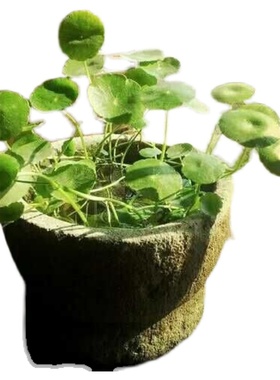 怀旧收藏民俗老物件农村老石板石雕石臼石盆石槽庭院装饰摆件田园