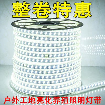 一卷100米灯带led工程亮化照明工地养殖园林装饰220v白光暖光灯条
