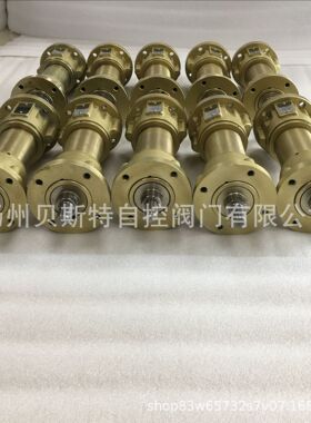 电动执行器2SA5031-5EE10-4BB3-Z线性推力器LE50.1/125mm线性单元