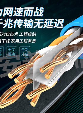 安普超六类双屏蔽纯铜千兆s家用网线POE高速监控网络双绞线无氧铜