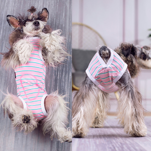 母狗狗连身生理裤姨妈裤s防骚扰防乱尿四脚条纹衣断奶服防舔纯棉