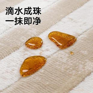 轻奢高级家用卧室沙发耐脏易打理 威尔顿机织防水抗污地毯客厅意式