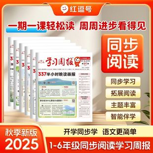 2025新版 学习周报半小时晚读暑假阅读一二三四五六年级暑假衔接知识拓展同步教材一周一练语文基础知识课外阅读训练期刊报纸