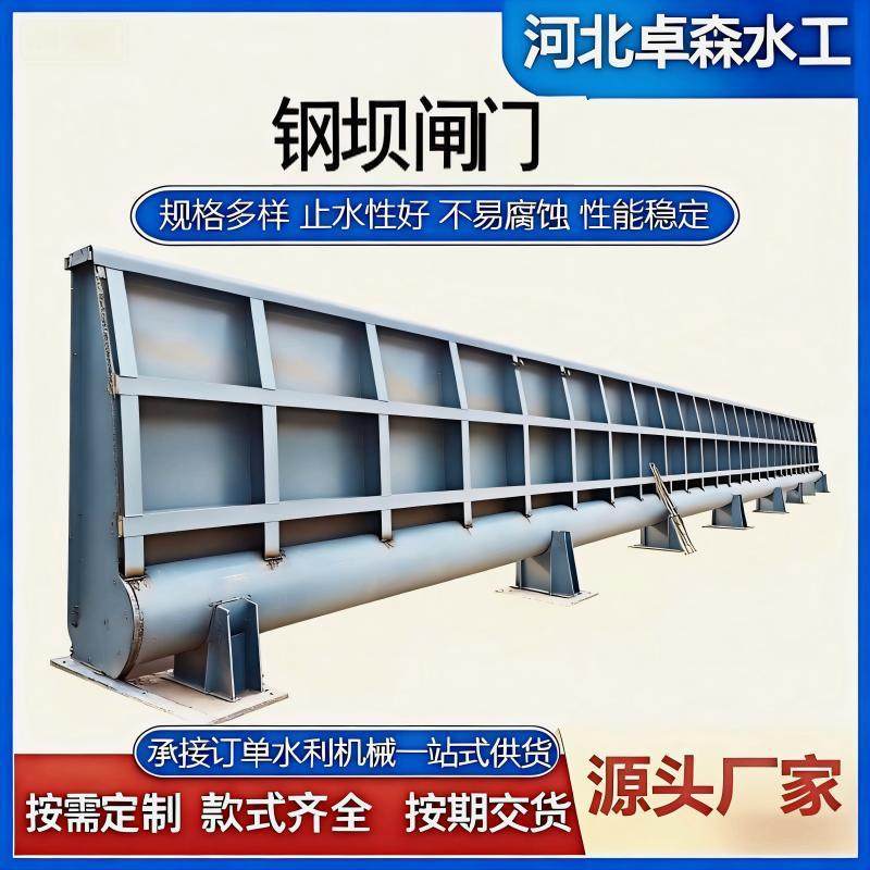 厂家直供不锈钢底轴驱动钢坝液压翻板景观钢坝河道治理钢坝闸门,搬运/仓储/物流设备,其他起重搬运设备,淘宝优惠券,粉丝福利购,淘宝优惠卷