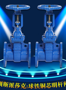 人防用铜芯防护闸阀明杆铜杆铜芯防护闸阀Z41T－16QDN100 150200