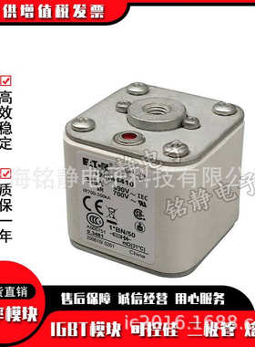 熔断器保险丝170M3444 170M3445 170M3446 170M3447 170M3448