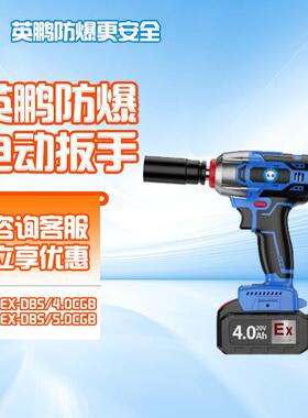 防爆电动扳手YPEX-DBS5.0CGB无刷电机锂电手持强扭力电扳手