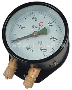 双针双管压力表 YZS-102 0-1000/1200KPA
