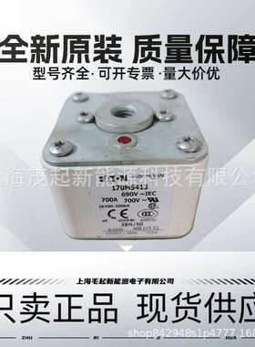 170M5412 170M5413 170M5414 170M5415 170M5416 巴斯曼熔断器